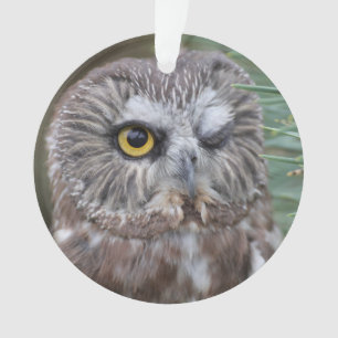 Scie-affûtez le hibou