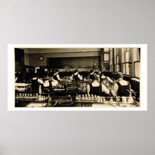 Science Lesson at the London Grammar School for Gi Poster