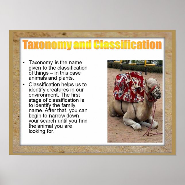 Science, Life science, Taxenomy and Classification Poster (Front)