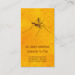Science Private Tutor Mosquito in Amber Fossil Business Card