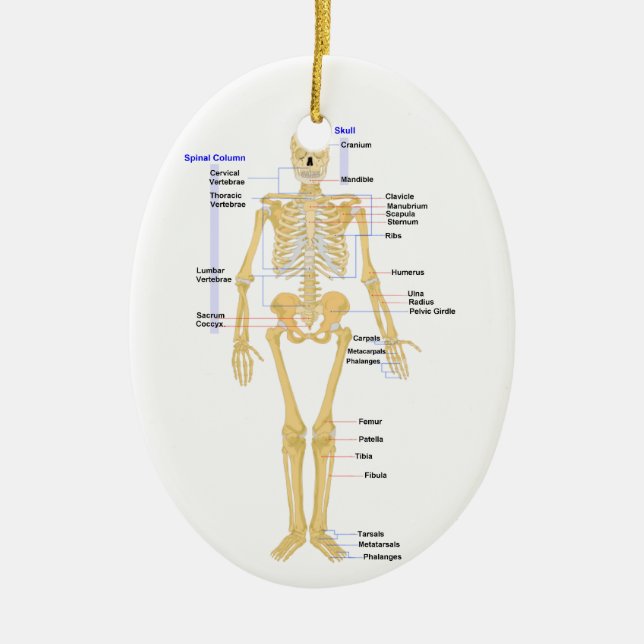 Science Teacher Christmas Ornament (Front)