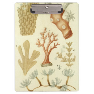 Science Textbook Biology, Vintage Coral Animals Clipboard