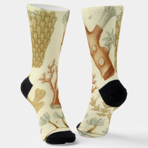 Science Textbook Biology, Vintage Coral Animals Socks