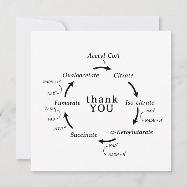 Science Thank You Teacher Kreb's Cycle Biology  (Front)