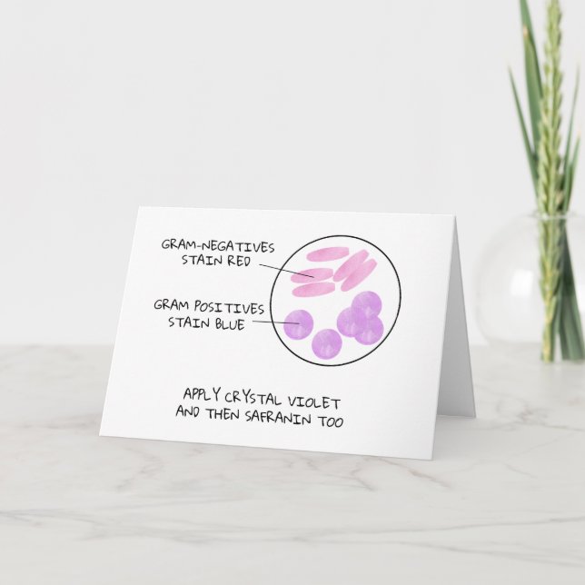 Science Valentine Microbiology Gram Stain Poem Lab Holiday Card (Front)