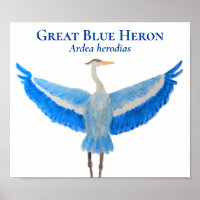 Scientific Bird Watercolor Great Blue Heron