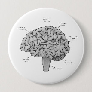 Scientific Brain 4 Inch Round Button