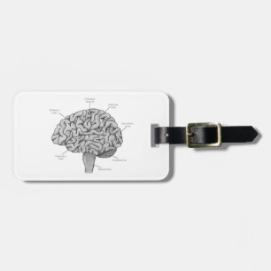 Scientific Brain Luggage Tag