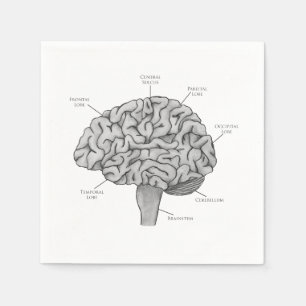 Scientific Brain Napkin