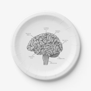 Scientific Brain Paper Plate
