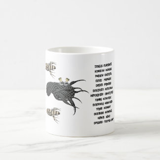 Scientific classification for the teuthologists.  coffee mug