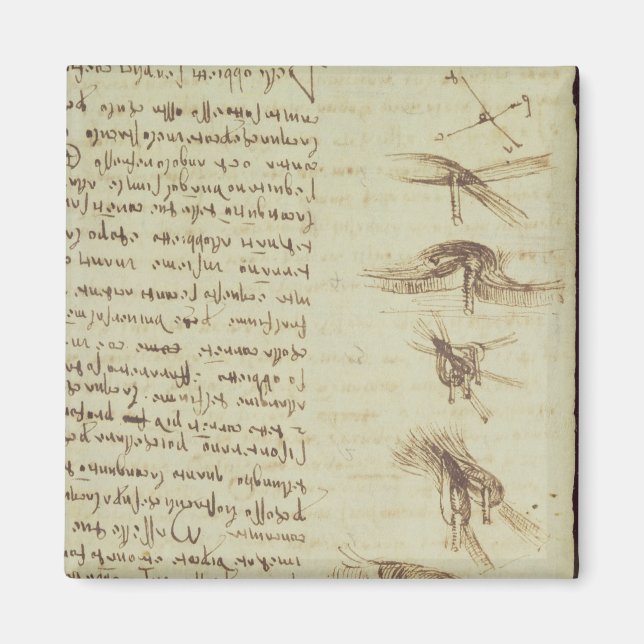 Scientific diagrams magnet (Front)