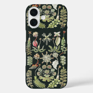 Scientific Nature Art Ernst Haeckel Liverworts iPhone 16 Case