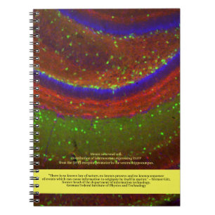 Scientists Say ... Gitt Quote and Neuronal Cell Notebook