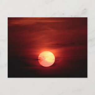 Scifi Sunset Postcard