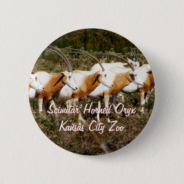 Scimitar Horned Oryx Button (Front)