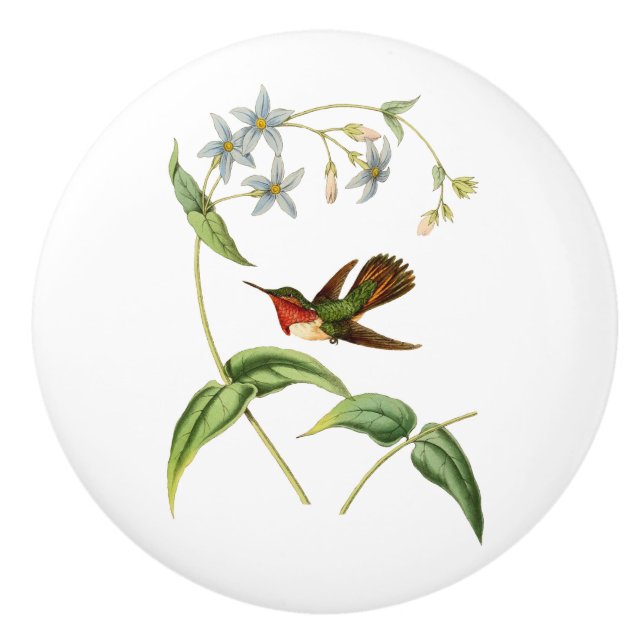 Scintillant Hummingbird Ceramic Knob (Front)