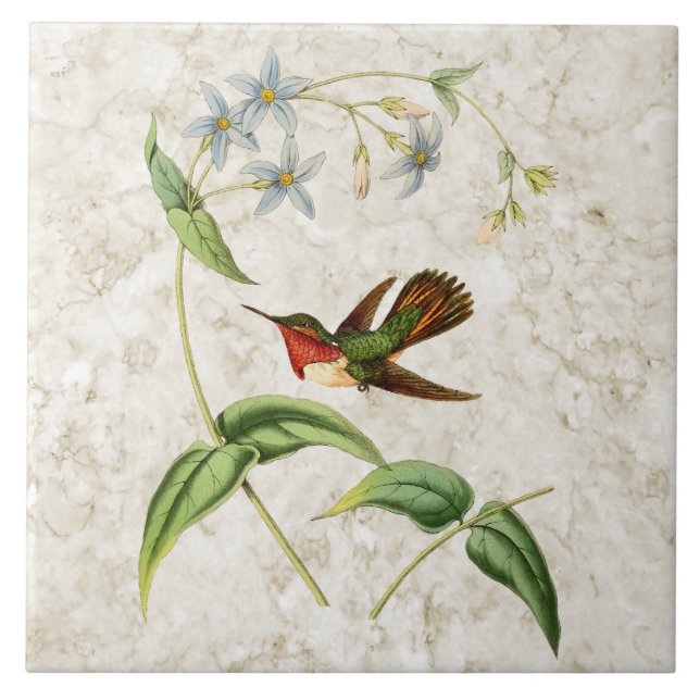 Scintillant Hummingbird Ceramic Tile (Front)