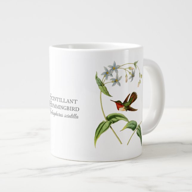 Scintillant Hummingbird Jumbo Mug (Front Right)