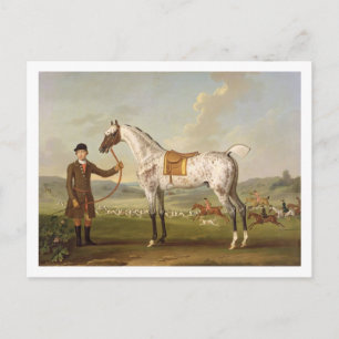 Scipio, Colonel Roche's Spotted Hunter, c.1750 (oi Postcard