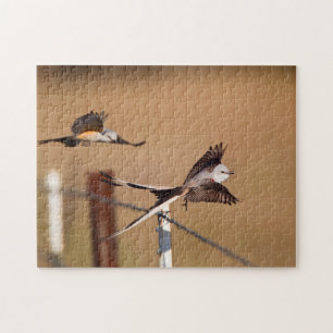 Scissor-Tailed Flycatchers (Tyrannus Forficatus) Jigsaw Puzzle