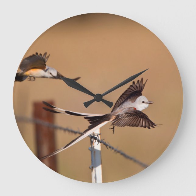 Scissor-Tailed Flycatchers (Tyrannus Forficatus) Large Clock (Front)
