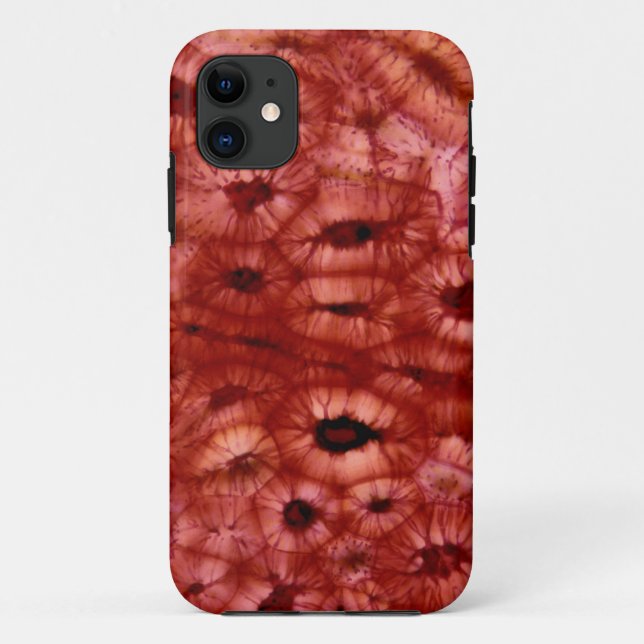 Sclerenchyma Cells from a Cherry Pit Case-Mate iPhone Case (Back)