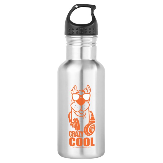 Scooby-Doo "Crazy Cool" Headphone Graphic 532 Ml Water Bottle (Front)