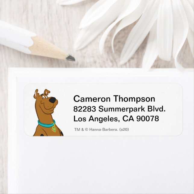 Scooby-Doo Cuter Plus que mignonne (En situation)