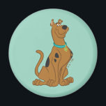 Scooby-Doo Cuter Than Cute Magnet<br><div class="desc">Add a touch of charm to your fridge or any magnetic surface with this adorable Scooby-Doo "Cuter Than Cute" magnet. Featuring the loveable Scooby,  this magnet is perfect for fans who appreciate the sweet and funny side of the iconic character. A fun way to show off your Scooby-Doo pride!</div>