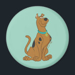 Scooby-Doo Cuter Than Cute Magnet<br><div class="desc">Add a touch of charm to your fridge or any magnetic surface with this adorable Scooby-Doo "Cuter Than Cute" magnet. Featuring the loveable Scooby, this magnet is perfect for fans who appreciate the sweet and funny side of the iconic character. A fun way to show off your Scooby-Doo pride!</div>