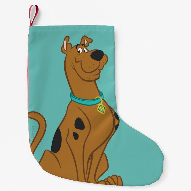 Scooby-Doo Cuter Than Cute Small Christmas Stocking (Front)
