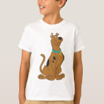 Scooby-Doo Cuter Than Cute T-Shirt<br><div class="desc">Show off your love for Scooby-Doo with this delightful t-shirt featuring the lovable pup and the fun phrase "Cuter Than Cute." Perfect for fans of the classic Hanna-Barbera cartoon,  this playful and whimsical design captures Scooby-Doo's charm in a vibrant and nostalgic way.</div>