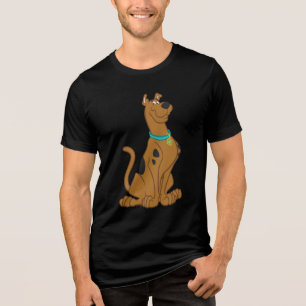 Scooby-Doo Cuter Than Cute Tri-Blend Shirt