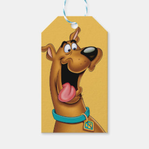 Scooby-Doo Excited Face Gift Tags
