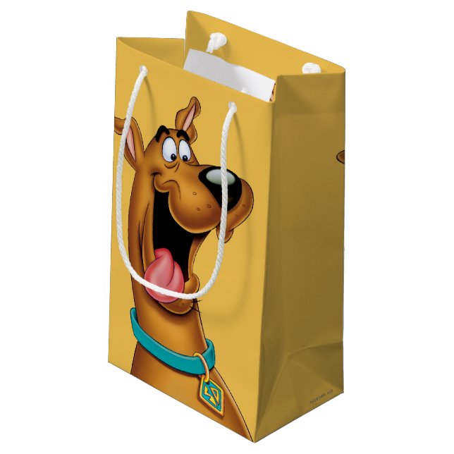 Scooby-Doo Excited Face Small Gift Bag (Back Angled)