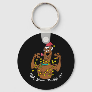 Scooby Doo Get Your Jingle On Keychain
