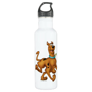 Scooby-Doo Happy Walk 710 Ml Water Bottle
