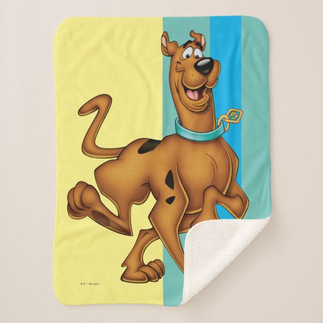 Scooby-Doo Happy Walk Sherpa Blanket (Front)