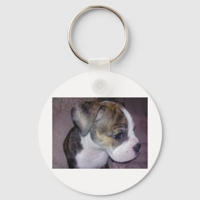 Scooby Doo Keychain (Front)