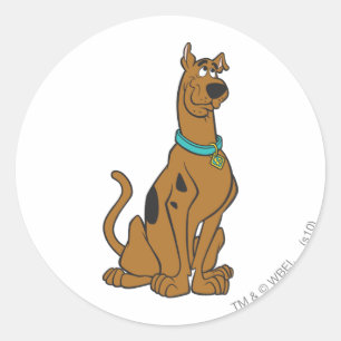 Scooby-Doo Puppy Eyes Classic Round Sticker