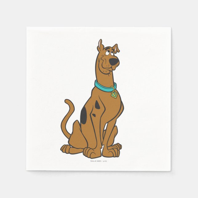 Scooby-Doo Puppy Eyes Napkin (Front)