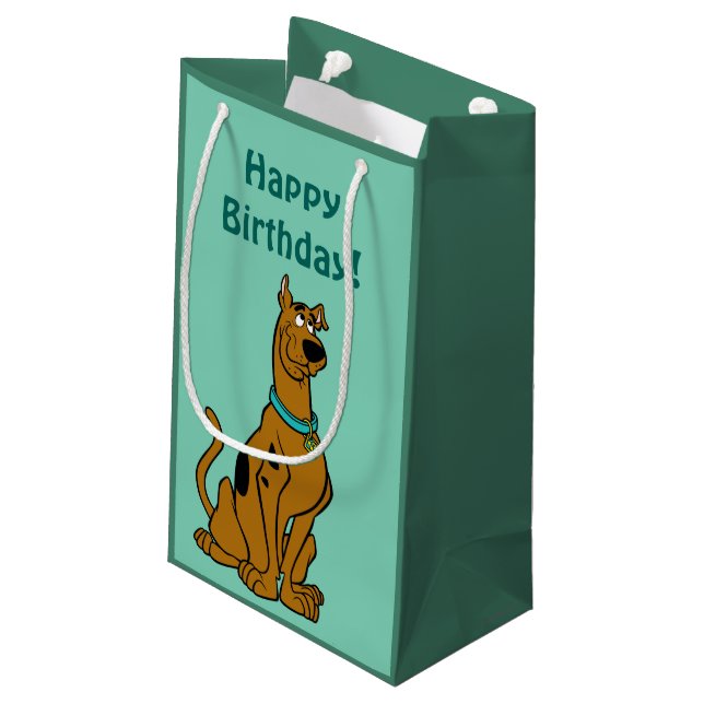 Scooby-Doo Puppy Eyes Small Gift Bag (Back Angled)
