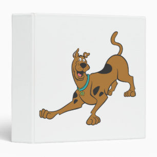 Scooby-Doo Ready To Play Binder