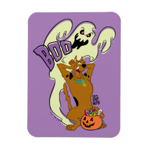 Scooby-Doo   Scooby-Doo Boo Magnet