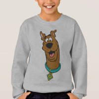 Scooby-Doo Smiling Face