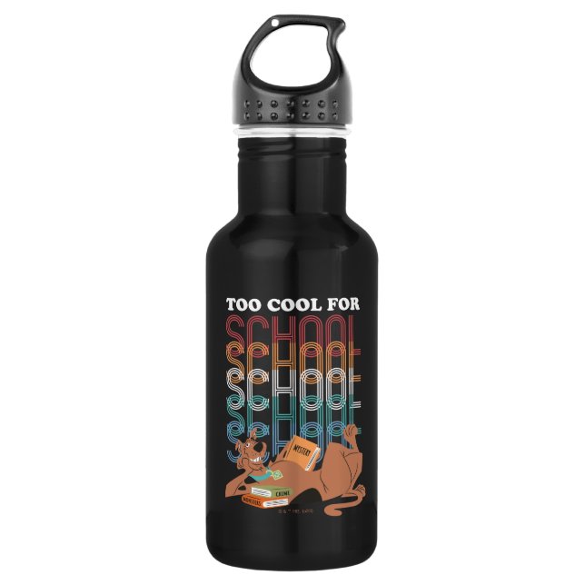 Scooby-Doo Too Cool For School 532 Ml Water Bottle (Front)