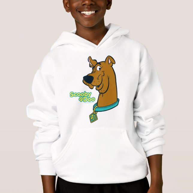 Scooby-Doo Winking (Devant)