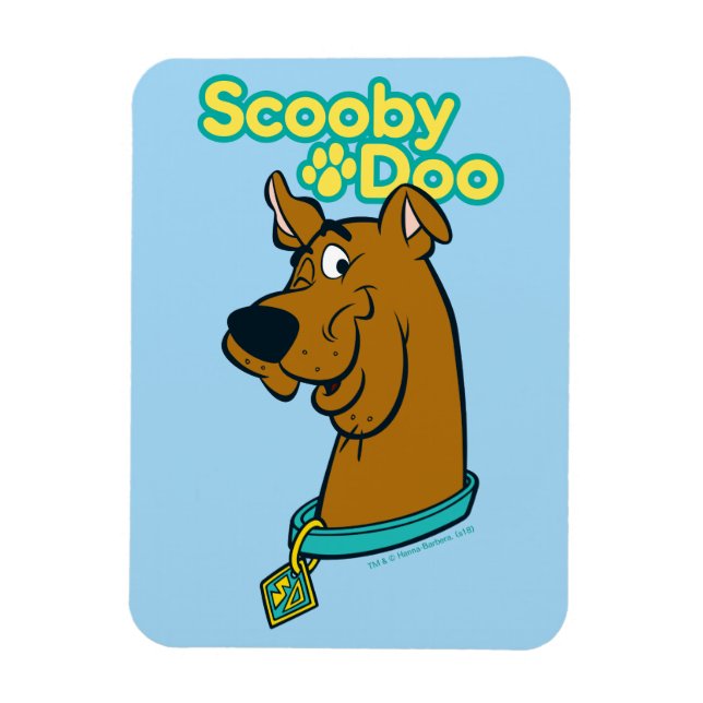 Scooby-Doo Winking Magnet (Vertical)