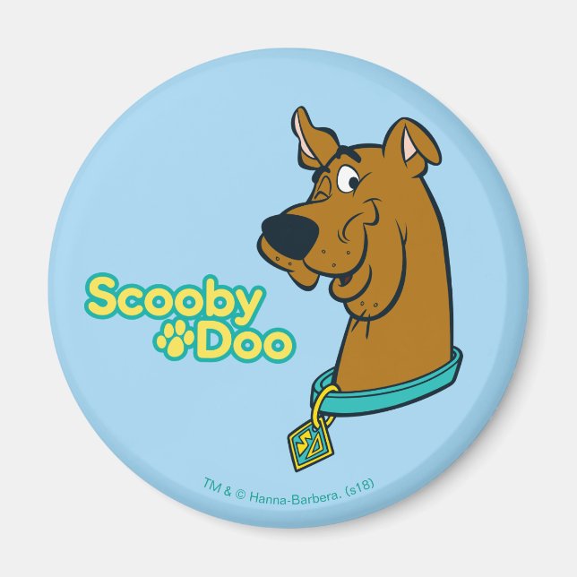 Scooby-Doo Winking Magnet (Front)